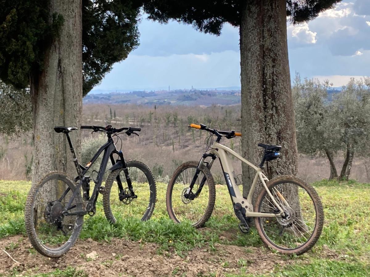 Agriturismo Amina, Winery & Hiking Vagliagli エクステリア 写真