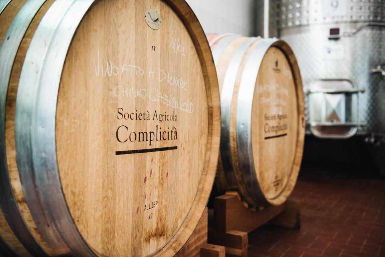 Agriturismo Amina, Winery & Hiking Vagliagli エクステリア 写真
