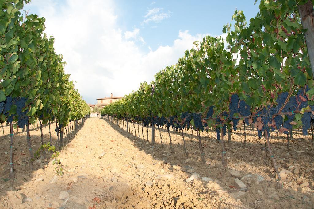 Agriturismo Amina, Winery & Hiking Vagliagli エクステリア 写真