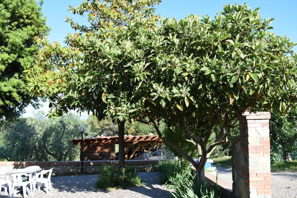 Agriturismo Amina, Winery & Hiking Vagliagli エクステリア 写真