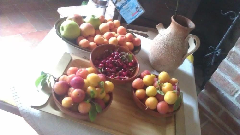 Agriturismo Amina, Winery & Hiking Vagliagli エクステリア 写真