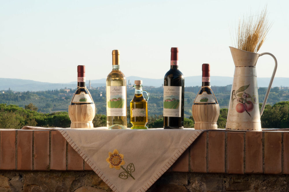 Agriturismo Amina, Winery & Hiking Vagliagli エクステリア 写真
