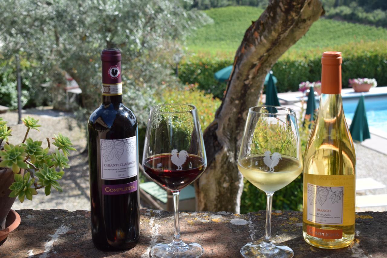 Agriturismo Amina, Winery & Hiking Vagliagli エクステリア 写真