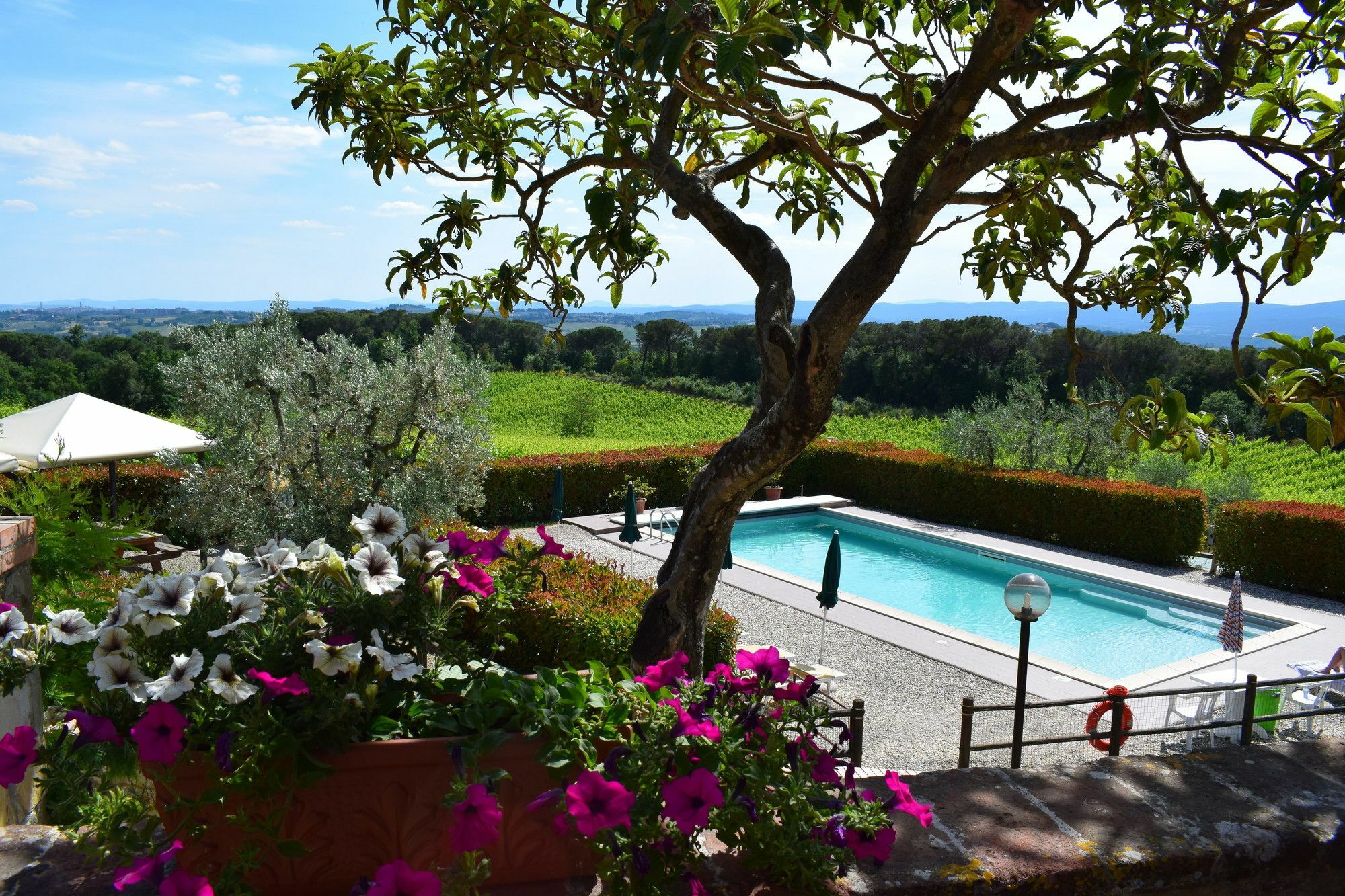 Agriturismo Amina, Winery & Hiking Vagliagli エクステリア 写真