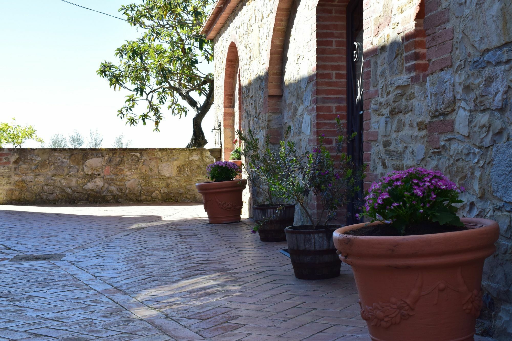 Agriturismo Amina, Winery & Hiking Vagliagli エクステリア 写真